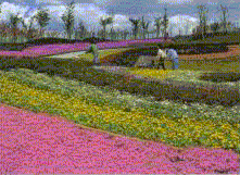 花の活用（GIF形式、約21KB)