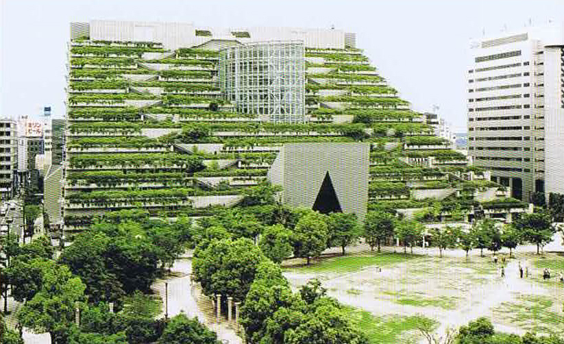 建築物の緑化